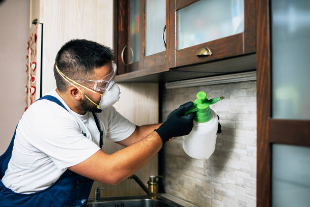 Best Pest Control for Businesses  in Valley Forge, TN