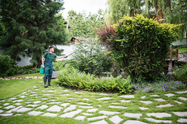Best Pest Prevention Services  in Valley Forge, TN