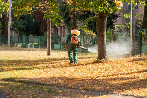 Best Insect Control  in Valley Forge, TN