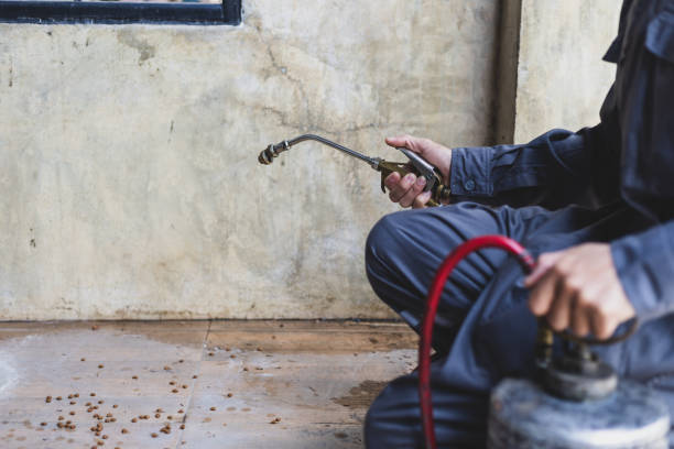 Best Wasp Removal Services  in Valley Forge, TN