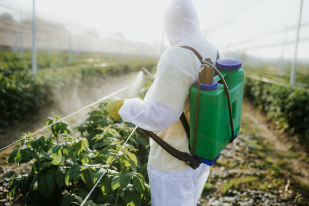 Best Best Pest Control Companies  in Valley Forge, TN